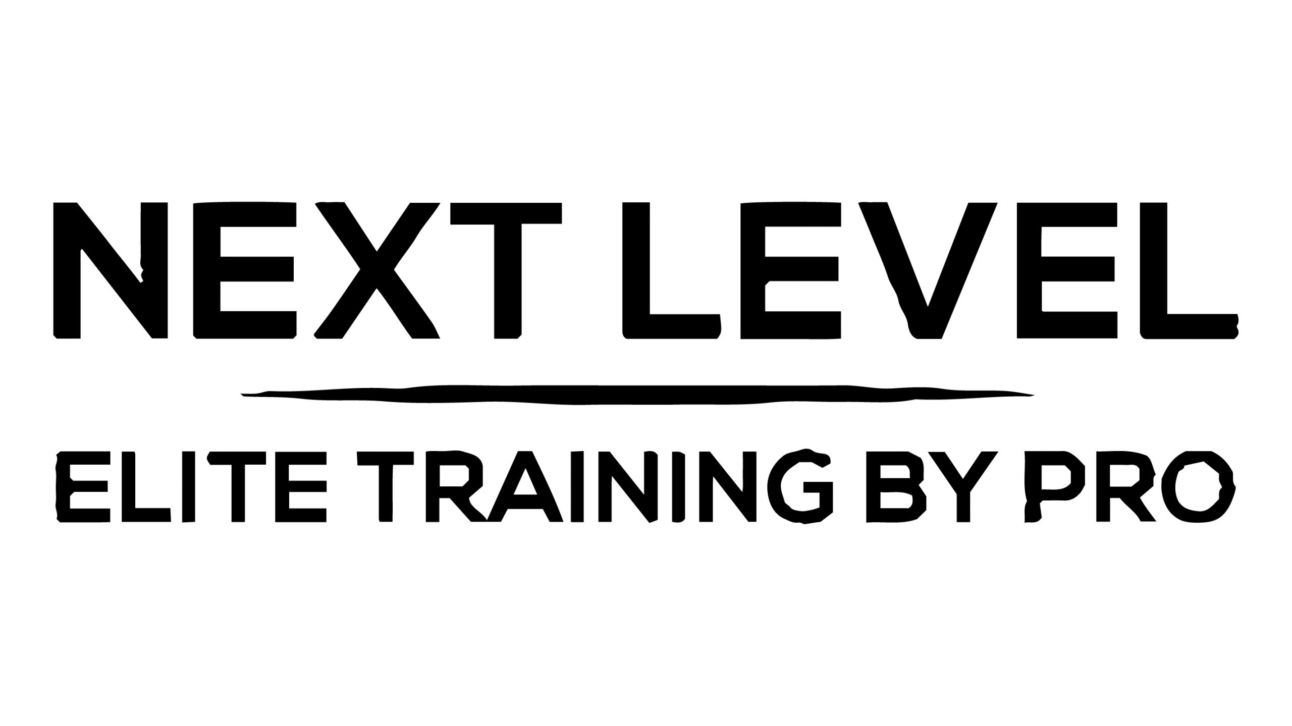 Next Level Training Studio